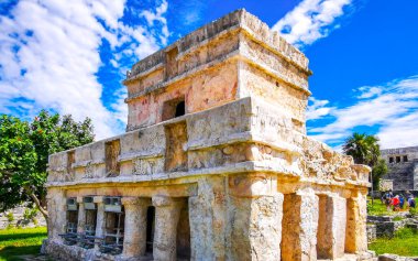 Tulum Quintana Roo Mexico 20. Ekim 2023 Antik Tulum, Tulum Meksika 'daki tropikal doğal palmiye ağaçları manzaralı fresklerin tapınağı ile Maya bölgesini harap etti..