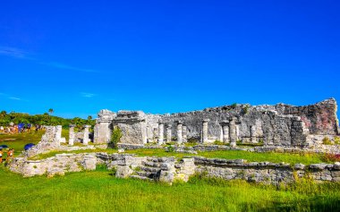 Tulum Quintana Roo Meksika 22. Kasım 2023 Antik Tulum, Tulum Meksika 'daki tropik doğal orman palmiyeleri manzarasında tapınak kalıntıları ve eserlerle Maya bölgesini harap etti..
