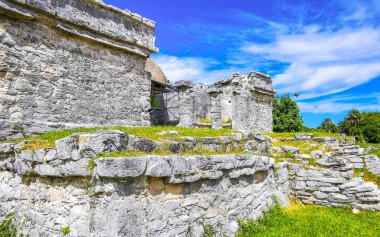 Antik Tulum, Tulum Meksika 'daki tropik doğal orman palmiyeleri manzarasında tapınak kalıntıları ve eserlerle Maya bölgesini harabeye çeviriyor..