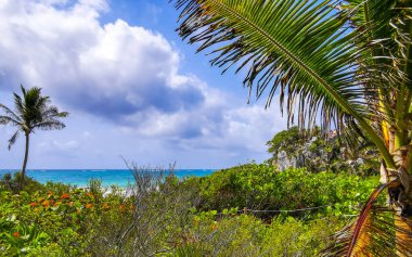 Antik Tulum 'daki doğal deniz manzarası ve sahil manzarası, Tulum Meksika' daki tropik doğal orman palmiyesinde tapınak kalıntıları ve kalıntılarla Maya bölgesini harap ediyor..