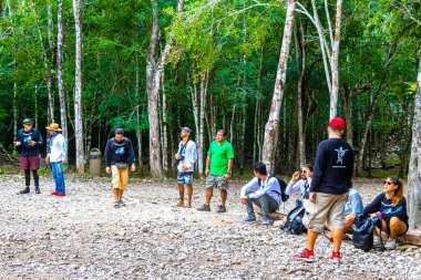 Tulum Quintana Roo Meksika 01. Ekim 2023 Coba Maya 'da turizm turizmi Coba Belediyesi Tulum Mexico' daki tropikal orman ormanlarındaki antik bina ve piramitleri harap ediyor..