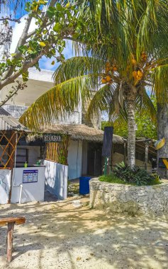 Tulum Quintana Roo Mexico 03. May 2023 Entrance to the Cenote park Yaxmuul in Tulum Quintana Roo Mexico. clipart