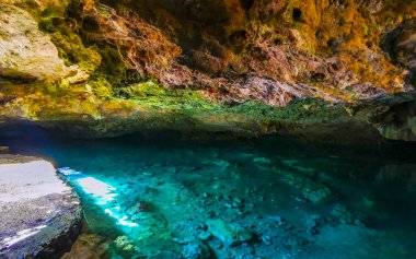 Güzel Cenote Park Yaxmuul 'da kireçtaşı kayalar turkuaz mavi yeşil su ve Tulum Quintana Roo Meksika' da doğa ormanı..