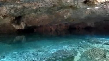 Güzel Cenote Park Yaxmuul, kireçtaşı kayalarıyla turkuaz mavi su ormanı ve iple Tulum Quintana Roo Mexico 'ya halatla iniyor..