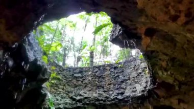 Güzel Cenote Park Yaxmulito Kireçtaşı kayaları ve yağmur suyuyla Tulum Quintana Roo Mexico 'daki bitkilerin üzerine geliyor..