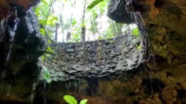 Güzel Cenote Park Yaxmulito Kireçtaşı kayaları ve yağmur suyuyla Tulum Quintana Roo Mexico 'daki bitkilerin üzerine geliyor..