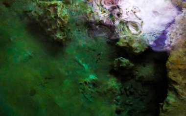 Güzel Cenote Park Yaxmulito kireç taşı Tulum Quintana Roo Mexico 'da turkuaz mavi yeşil su dokusu deseni kayaları.