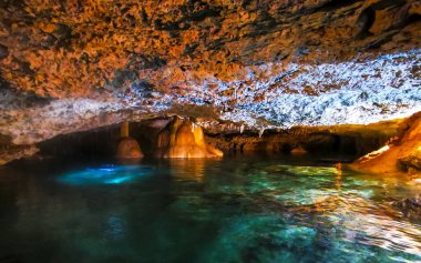 Güzel Cenote Park Yaxmulito ile kireçtaşı kayaları turkuaz mavi yeşil su ve Tulum Quintana Roo Meksika 'daki yeraltı doğa ormanı..
