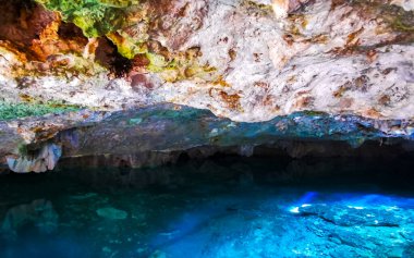Güzel Cenote Park Yaxmuul 'da kireçtaşı kayalar turkuaz mavi yeşil su ve Tulum Quintana Roo Meksika' da doğa ormanı..