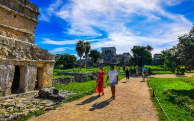 Tulum Quintana Roo Meksika 18. Ekim 2023 'te Antik Tulum, Tulum Meksika' daki tropik doğal orman palmiyeleri manzarasında tapınak kalıntıları ve eserlerle Maya bölgesini harap etti..