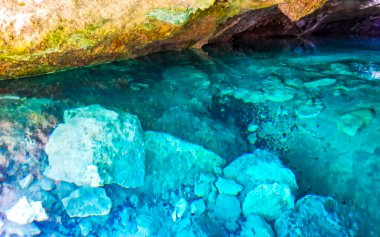 Güzel Cenote Park Yaxmuul 'da kireçtaşı kayalar turkuaz mavi yeşil su ve Tulum Quintana Roo Meksika' da doğa ormanı..