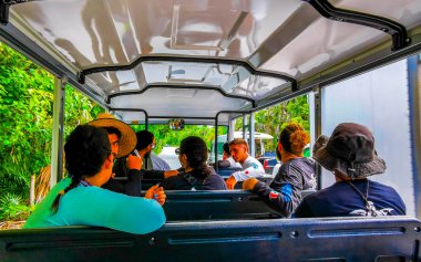 Tulum Quintana Roo Mexico 20. August 2024 Golf cart ride through national park in Tulum Quintana Roo Mexico. clipart