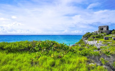 Antik Tulum 'daki doğal deniz manzarası ve sahil manzarası Tulum Meksika' daki tropik doğal orman palmiyesinde rüzgarın tapınağıyla Maya bölgesini harabeye çevirir..