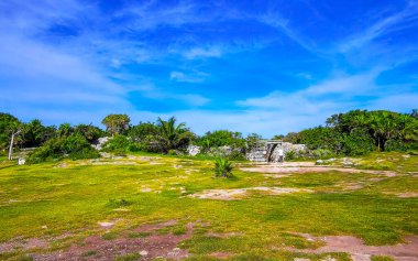 Tulum Quintana Roo Meksika 18. Ekim 2023 Tulum antik Tulum 'daki tropik doğal orman palmiye ağaçları Tulum Meksika' daki tapınak kalıntıları ve piramitlerle Maya bölgesini harabeye çevirir..