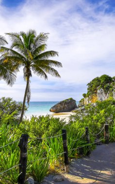 Antik Tulum 'daki doğal deniz manzaralı kayalar, Tulum' daki tropikal doğal orman palmiyesinde tapınak kalıntıları ve sanat eserleriyle Maya bölgesini harabeye çevirir..