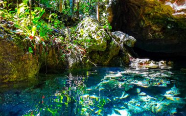 Güzel Cenote Park Yaxmuul 'da kireçtaşı kayalar turkuaz mavi yeşil su ve Tulum Quintana Roo Meksika' da doğa ormanı..