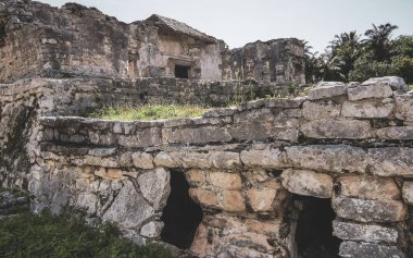 Antik Tulum, Tulum Meksika 'daki tropik doğal orman palmiyeleri manzarasında tapınak kalıntıları ve eserlerle Maya bölgesini harabeye çeviriyor..