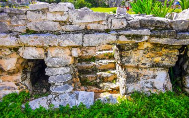 Antik Tulum, Tulum Meksika 'daki tropik doğal orman palmiyeleri manzarasında tapınak kalıntıları ve eserlerle Maya bölgesini harabeye çeviriyor..