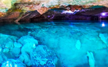 Güzel Cenote Park Yaxmuul 'da kireçtaşı kayalar turkuaz mavi yeşil su ve Tulum Quintana Roo Meksika' da doğa ormanı..