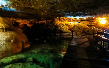 Güzel Cenote Park Yaxmulito ile kireçtaşı kayaları turkuaz mavi yeşil su ve Tulum Quintana Roo Meksika 'daki yeraltı doğa ormanı..