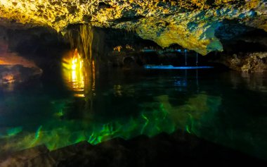 Güzel Cenote Park Yaxmulito ile kireçtaşı kayaları turkuaz mavi yeşil su ve Tulum Quintana Roo Meksika 'daki yeraltı doğa ormanı..