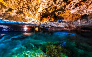 Güzel Cenote Park Yaxmulito ile kireçtaşı kayaları turkuaz mavi yeşil su ve Tulum Quintana Roo Meksika 'daki yeraltı doğa ormanı..
