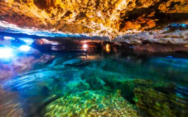 Güzel Cenote Park Yaxmulito ile kireçtaşı kayaları turkuaz mavi yeşil su ve Tulum Quintana Roo Meksika 'daki yeraltı doğa ormanı..