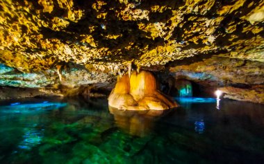 Güzel Cenote Park Yaxmulito ile kireçtaşı kayaları turkuaz mavi yeşil su ve Tulum Quintana Roo Meksika 'daki yeraltı doğa ormanı..