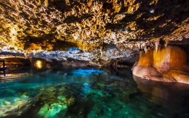 Güzel Cenote Park Yaxmulito ile kireçtaşı kayaları turkuaz mavi yeşil su ve Tulum Quintana Roo Meksika 'daki yeraltı doğa ormanı..