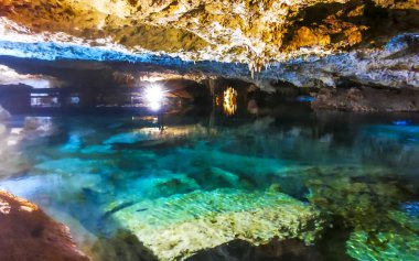Güzel Cenote Park Yaxmulito ile kireçtaşı kayaları turkuaz mavi yeşil su ve Tulum Quintana Roo Meksika 'daki yeraltı doğa ormanı..