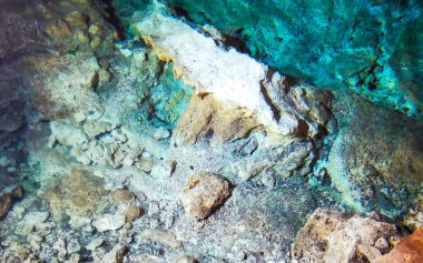 Güzel Cenote Park Yaxmulito kireç taşı Tulum Quintana Roo Mexico 'da turkuaz mavi yeşil su dokusu deseni kayaları.