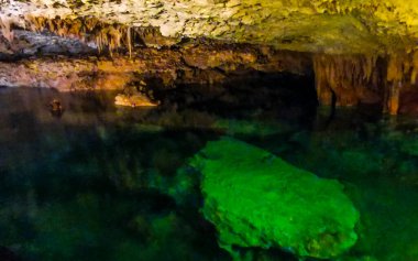 Güzel Cenote Park Yaxmulito ile kireçtaşı kayaları turkuaz mavi yeşil su ve Tulum Quintana Roo Meksika 'daki yeraltı doğa ormanı..