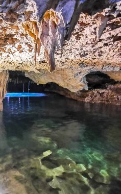 Güzel Cenote Park Yaxmulito ile kireçtaşı kayaları turkuaz mavi yeşil su ve Tulum Quintana Roo Meksika 'daki yeraltı doğa ormanı..