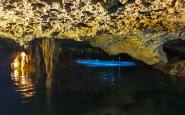 Güzel Cenote Park Yaxmulito ile kireçtaşı kayaları turkuaz mavi yeşil su ve Tulum Quintana Roo Meksika 'daki yeraltı doğa ormanı..