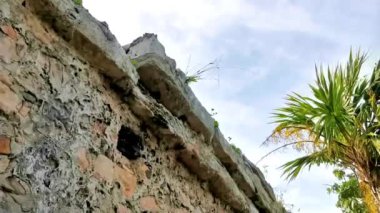 Kaya penceresinin içinde dev bir Iguana kertenkele hayvanı Tulum 'daki antik Tulum kalıntılarını izliyor ve Tulum Meksika' daki tapınak piramitlerini yıkıyor..