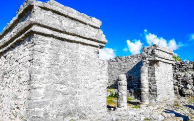 Antik Tulum, Tulum Meksika 'daki tropik doğal orman palmiyeleri manzarasında tapınak kalıntıları ve eserlerle Maya bölgesini harabeye çeviriyor..