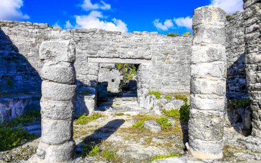 Antik Tulum, Tulum Meksika 'daki tropik doğal orman palmiyeleri manzarasında tapınak kalıntıları ve eserlerle Maya bölgesini harabeye çeviriyor..