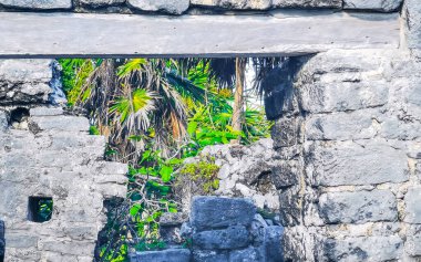 Antik Tulum, Tulum Meksika 'daki tropik doğal orman palmiyeleri manzarasında tapınak kalıntıları ve eserlerle Maya bölgesini harabeye çeviriyor..