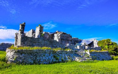 Antik Tulum, Tulum Meksika 'daki tropik doğal orman palmiyeleri manzarasında tapınak kalıntıları ve eserlerle Maya bölgesini harabeye çeviriyor..