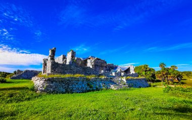 Antik Tulum, Tulum Meksika 'daki tropik doğal orman palmiyeleri manzarasında tapınak kalıntıları ve eserlerle Maya bölgesini harabeye çeviriyor..