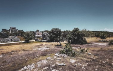 Tulum Quintana Roo Mexico 15. Nisan 2024 Antik Tulum, Tulum Meksika 'daki tropik doğal orman palmiyeleri manzarasında tapınak kalıntıları ve eserlerle Maya bölgesini harap etti..