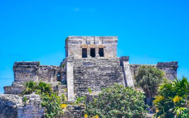 Antik Tulum, Tulum Meksika 'daki tropikal doğal orman palmiyeleri manzarasında kale piramidi ve törensel bina olan El Castillo tapınağı ile Maya bölgesini harabeye çeviriyor..
