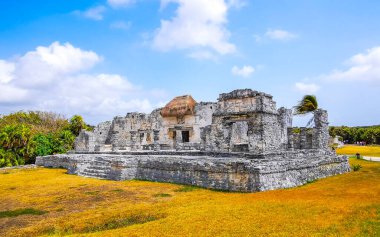 Antik Tulum, Tulum Meksika 'daki tropik doğal orman palmiyeleri manzarasında tapınak kalıntıları ve eserlerle Maya bölgesini harabeye çeviriyor..