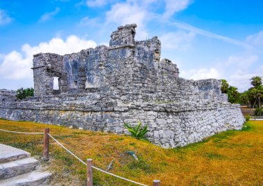Antik Tulum, Tulum Meksika 'daki tropik doğal orman palmiyeleri manzarasında tapınak kalıntıları ve eserlerle Maya bölgesini harabeye çeviriyor..