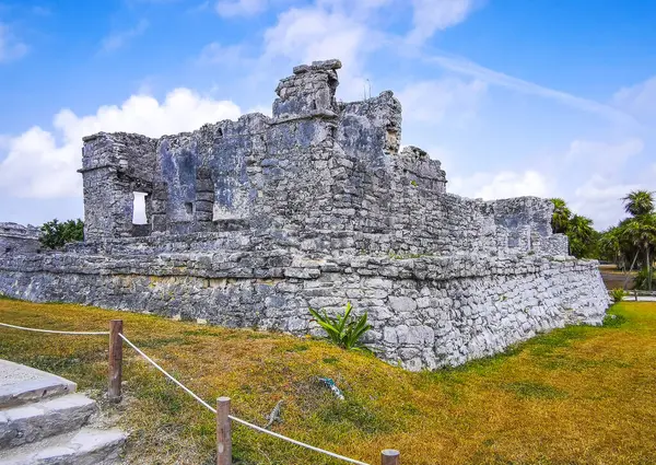 Antik Tulum, Tulum Meksika 'daki tropik doğal orman palmiyeleri manzarasında tapınak kalıntıları ve eserlerle Maya bölgesini harabeye çeviriyor..