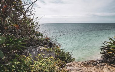 Antik Tulum 'daki doğal deniz manzarası ve sahil manzarası, Tulum Meksika' daki tropik doğal orman palmiyesinde tapınak kalıntıları ve kalıntılarla Maya bölgesini harap ediyor..