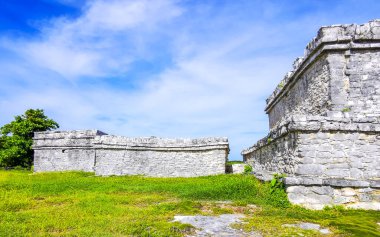 Antik Tulum, Tulum Meksika 'daki tropikal doğal orman palmiyeleri manzarasında kale piramidi ve törensel bina olan El Castillo tapınağı ile Maya bölgesini harabeye çeviriyor..