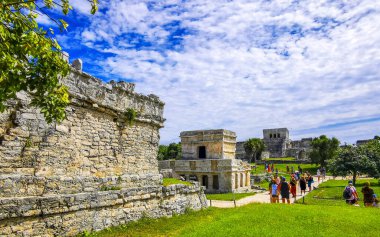 Tulum Quintana Roo Mexico 20. Ekim 2023 'te Antik Tulum, Tulum Meksika' daki tropik doğal orman palmiyeleri manzarasında tapınak kalıntıları ve eserlerle Maya bölgesini harap etti..