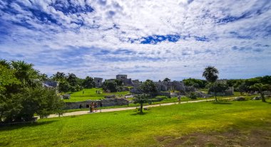 Tulum Quintana Roo Mexico 20. Ekim 2023 Tulum antik Tulum 'daki tropik doğal orman palmiye ağaçları Tulum Meksika' daki tapınak kalıntıları ve piramitlerle Maya bölgesini harabeye çevirir..