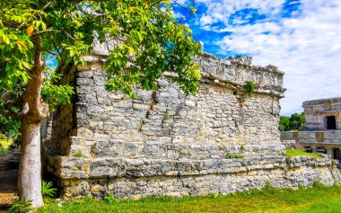 Antik Tulum, Tulum Meksika 'daki tropik doğal orman palmiyeleri manzarasında tapınak kalıntıları ve eserlerle Maya bölgesini harabeye çeviriyor..